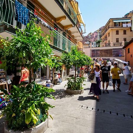 Ca' De Carlin Daire Manarola Dış mekan fotoğraf