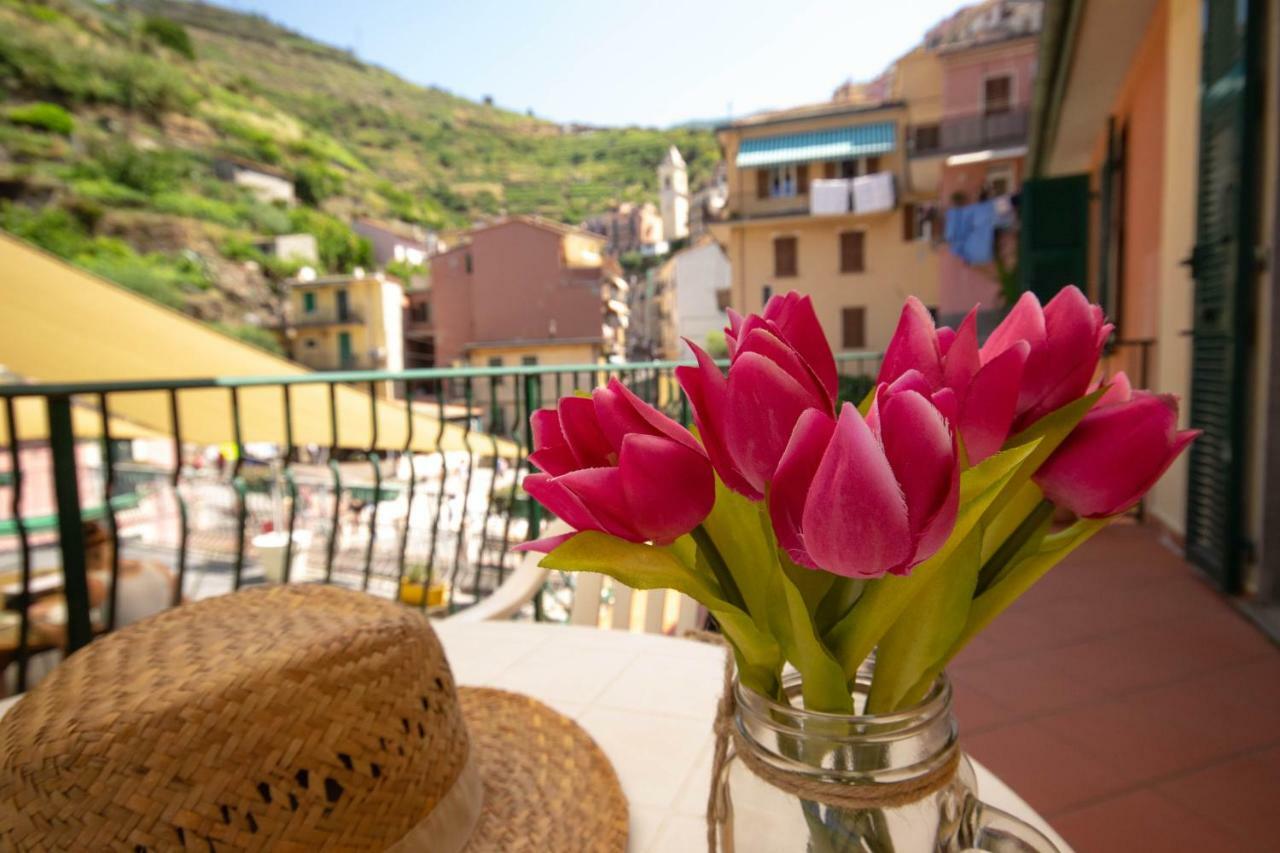 Ca' De Carlin Daire Manarola Dış mekan fotoğraf
